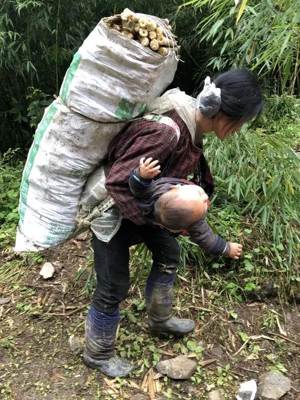 新鲜龙须笋的家常做法,龙须笋的正确食用方法