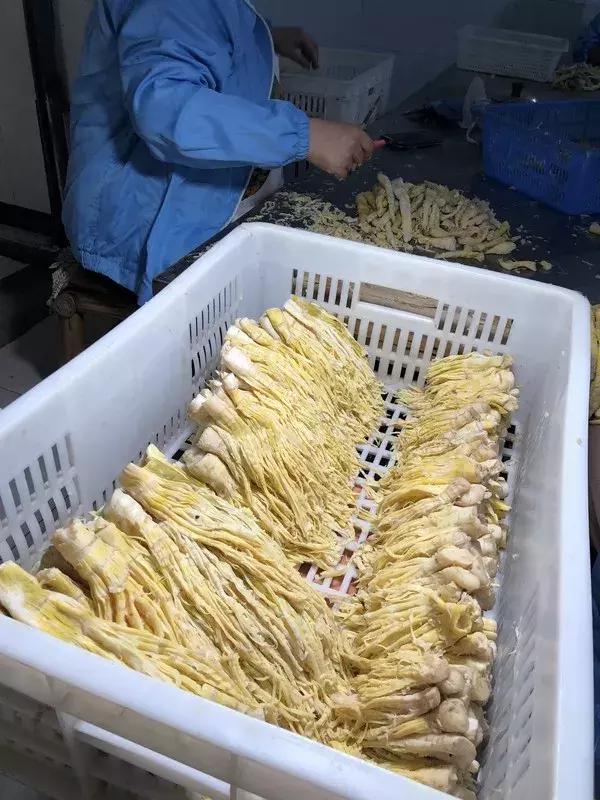 新鲜龙须笋的家常做法,龙须笋的正确食用方法