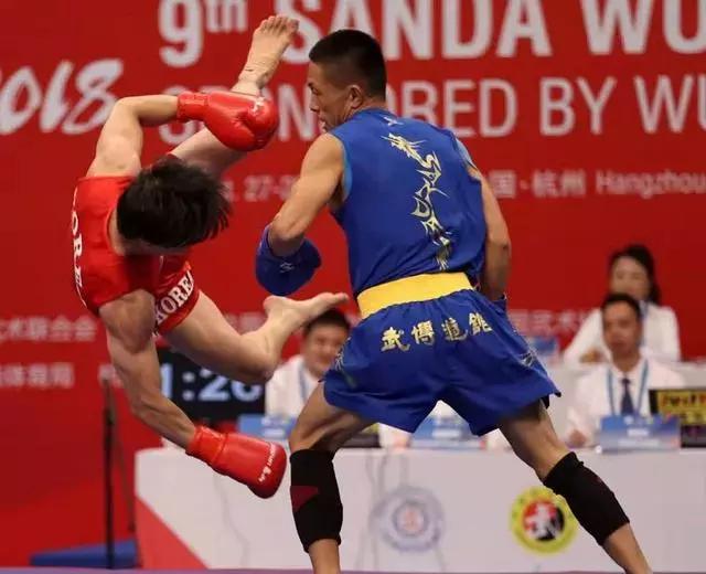 散打李康精彩镜头,李康散打个人简历