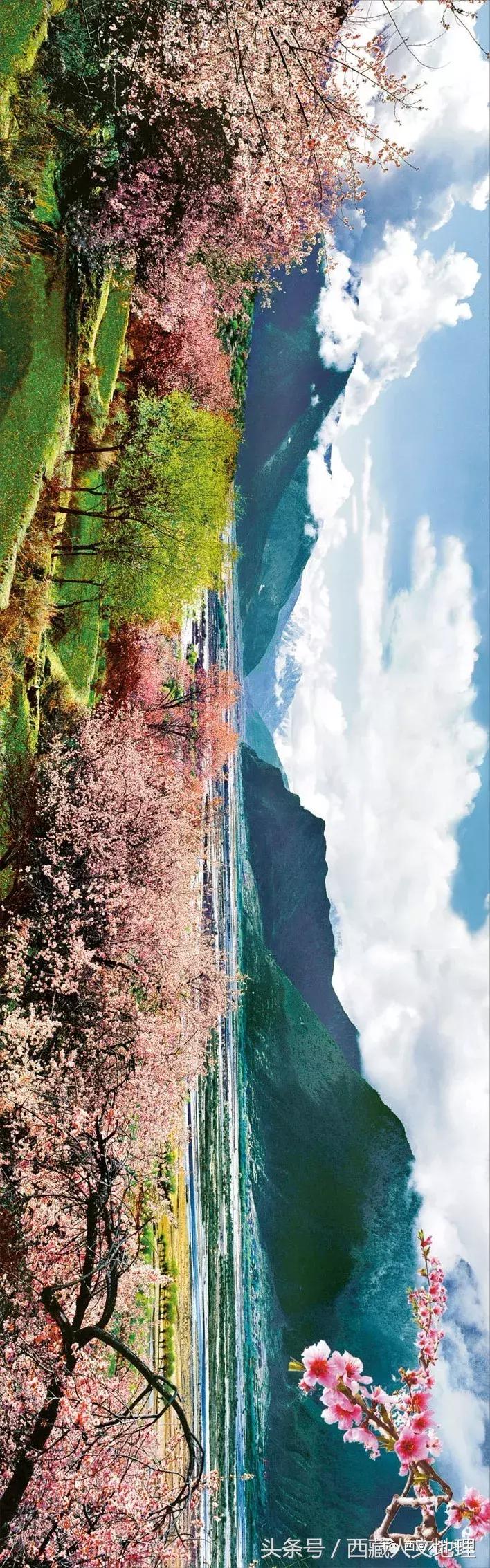 不可思议的林芝：高原荒凉刻板印象的颠覆者