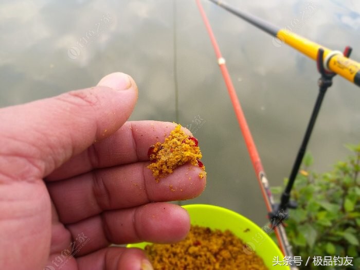野钓红虫颗粒使用方法,冬季红虫野钓鲫鱼技巧