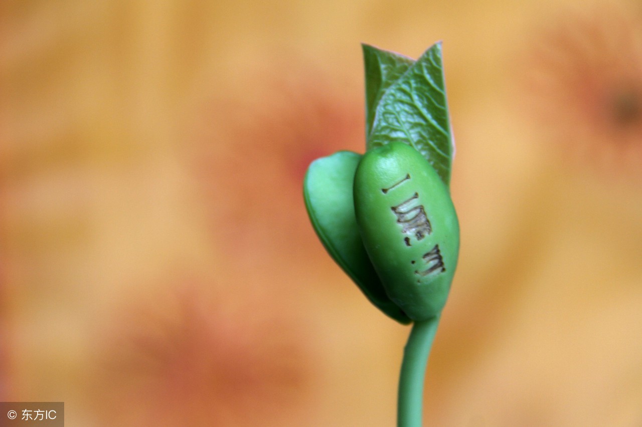 英语翻译常用句型,15个高频英语词组