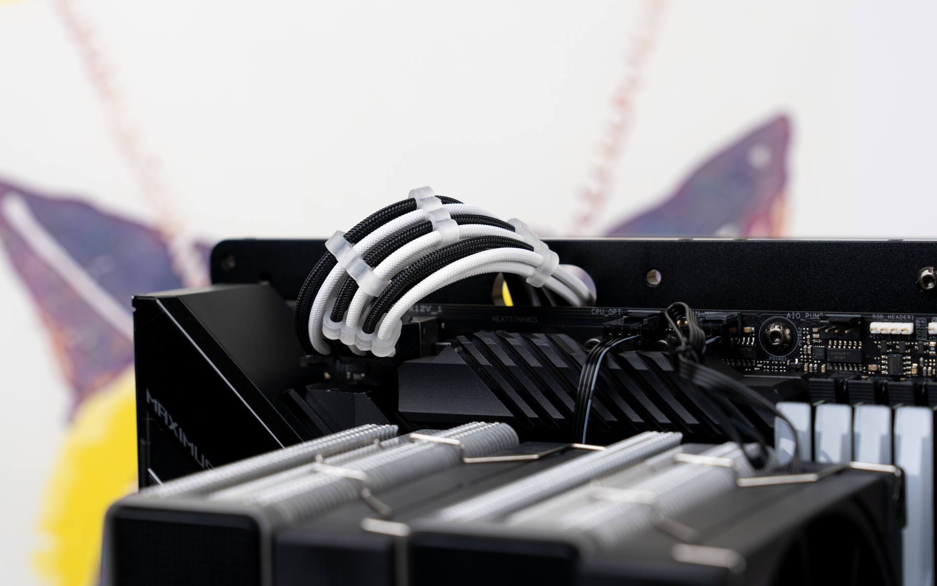 妍皮不裹痴骨的解释,九州风神风冷ak620