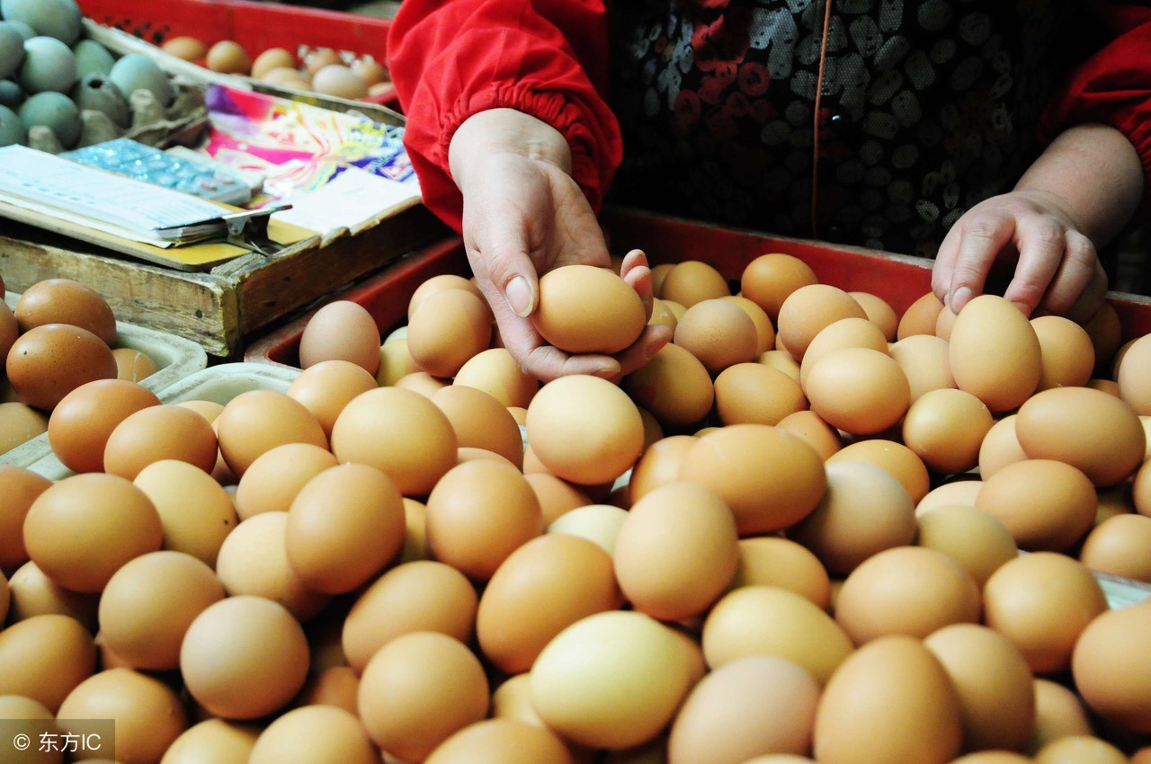 今日鸡蛋价格行情全国蛋价表,青岛鸡蛋价格今日蛋价