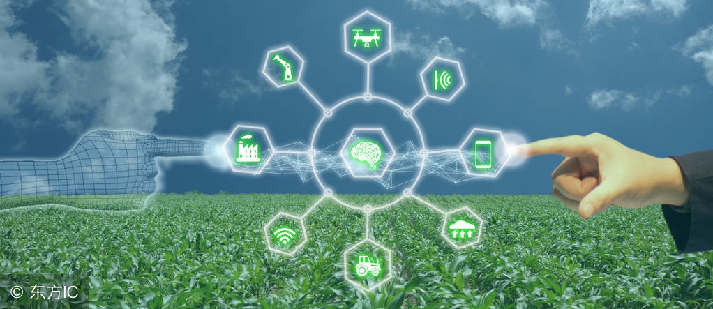 养殖业未来的风口在哪里,养殖行业该何去何从