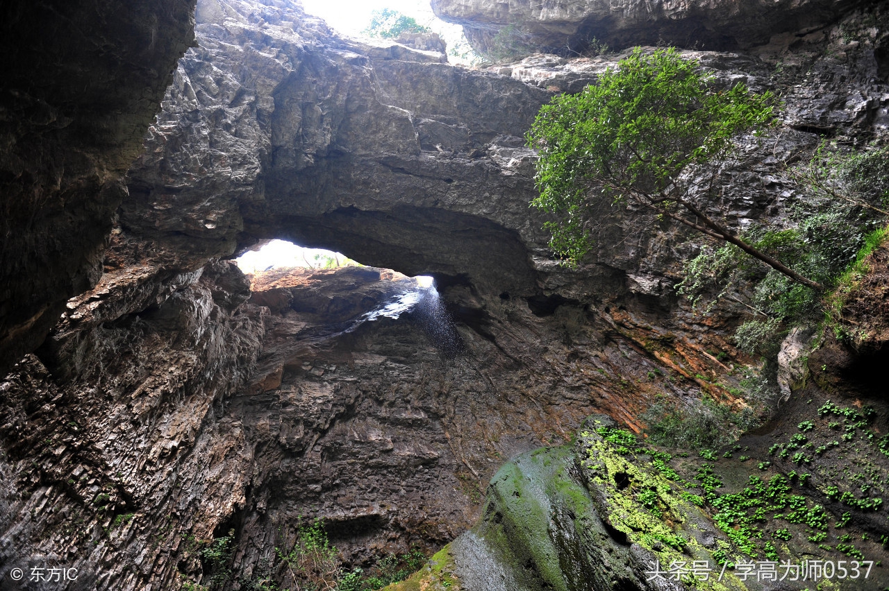 三年级语文陶罐和铁罐知识点,三年级语文的知识点归纳大全