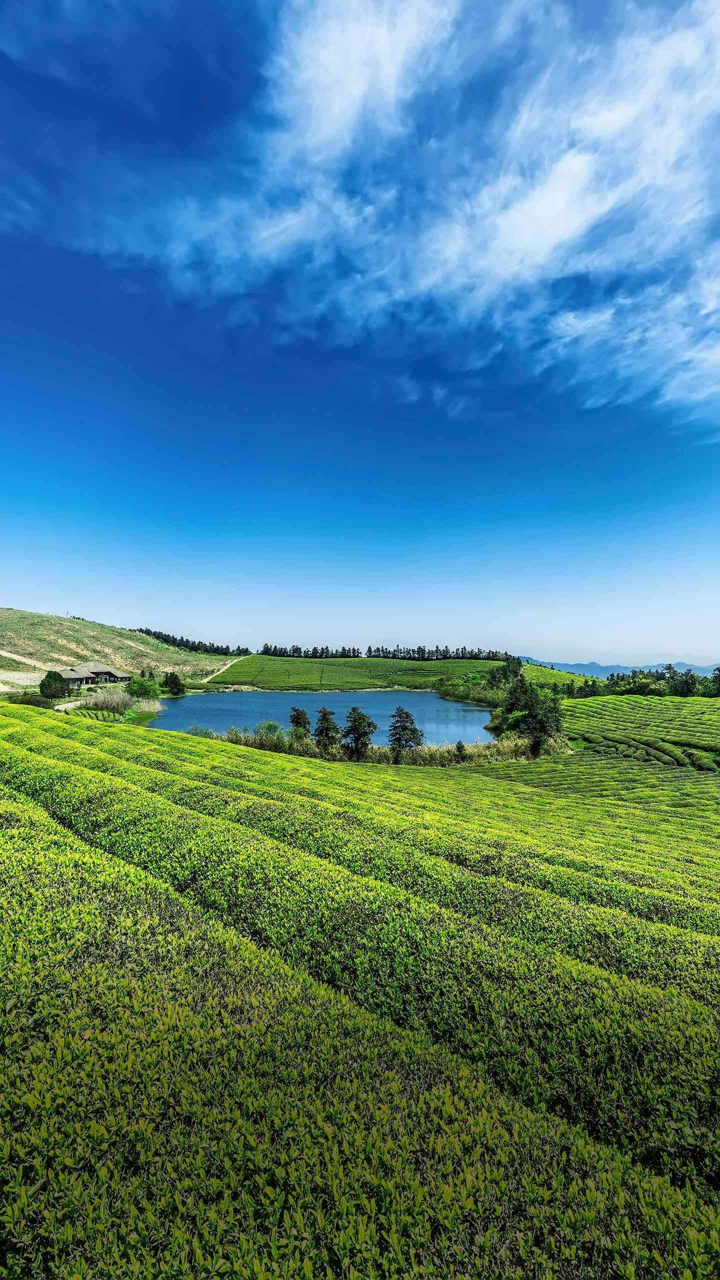 人际关系8个秘诀,人际关系中如何建立人脉