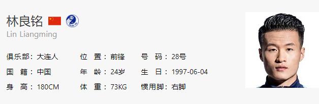 中国足坛陨落天才视频,中国足坛十大天才