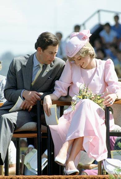 戴安娜对查尔斯的报复,戴安娜和查尔斯不和的原因