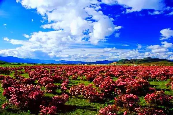 这是最值得收藏的旅行清单，顺着24节气，带娃游遍中国