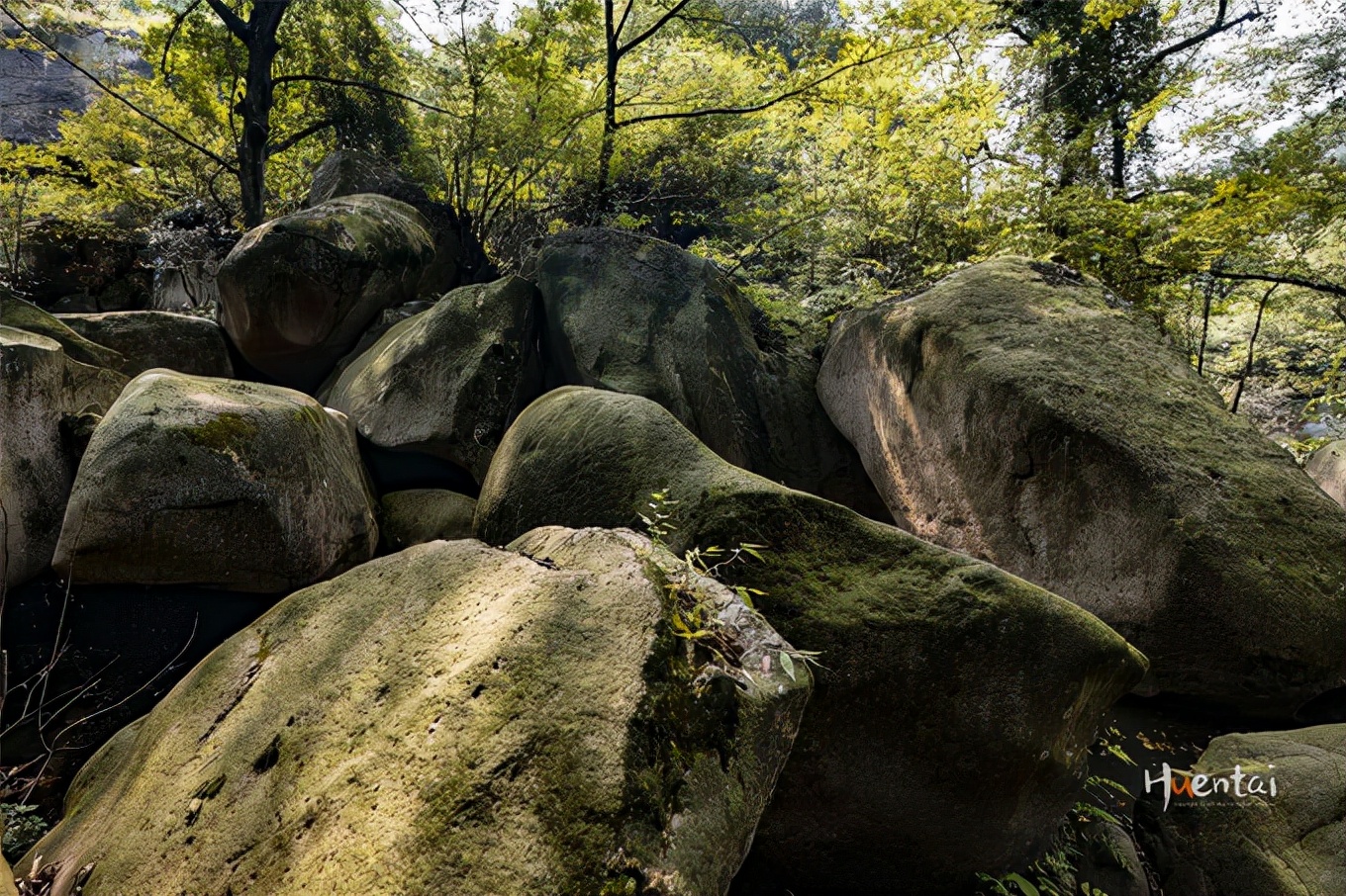 莲花佛国池州,九华山莲花佛国图片