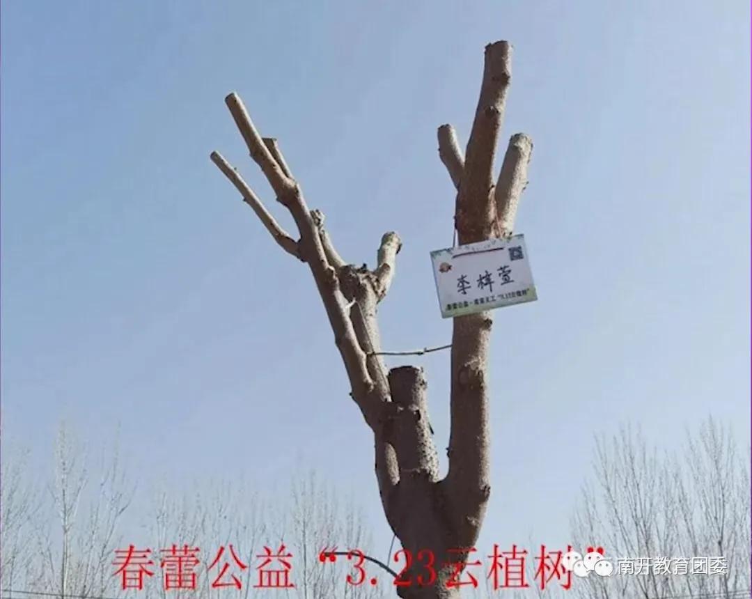 (喜讯)这名“南开区·新时代好少年”是咱“苗苗义工”。