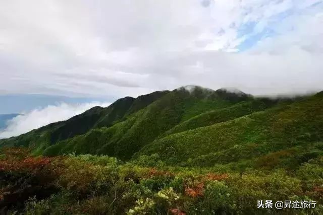 惠州市全球候鸟度假酒店,惠州全球候鸟度假别墅2区