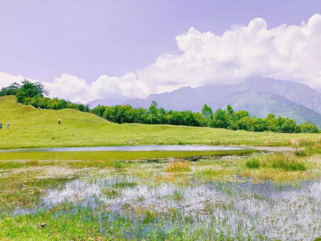 打卡网红地秋千,网红秋千户外营地打卡姿势