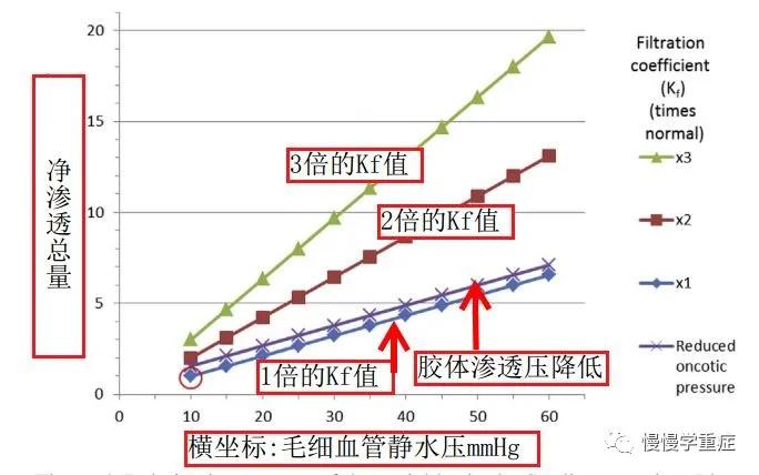 全面解读肺水肿（超全超赞）