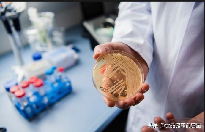 真菌居然长得如此逆天,超级真菌会蔓延全世界么