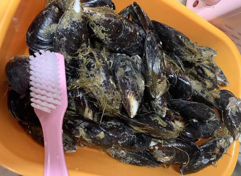 特色菜春天第一鲜,春天必吃的第一鲜