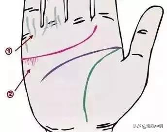 手诊图大全清晰图手背,全息手诊图