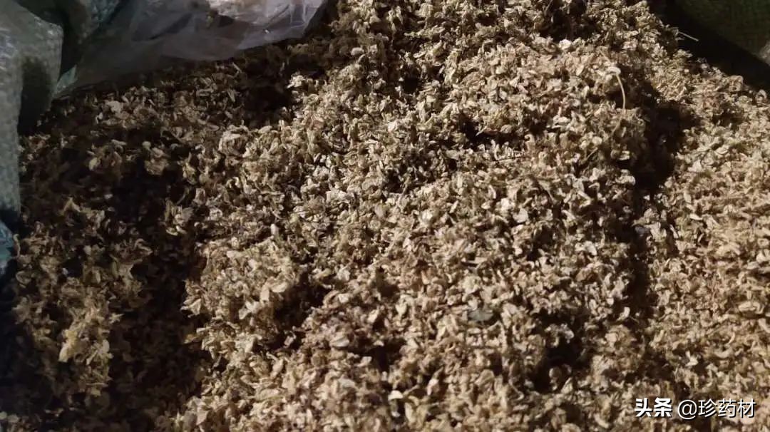 中药材市场快讯:鸡冠花、郁金、生地黄、八角茴香、荆芥穗等