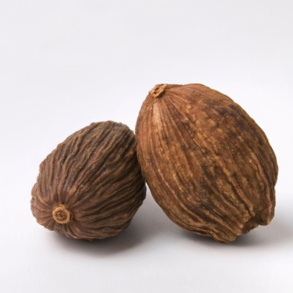 煲狗肉的做法教程,煲狗肉放什么菜最好吃