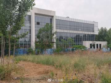 青年莲花汽车现状,青年莲花和莲花汽车的关系