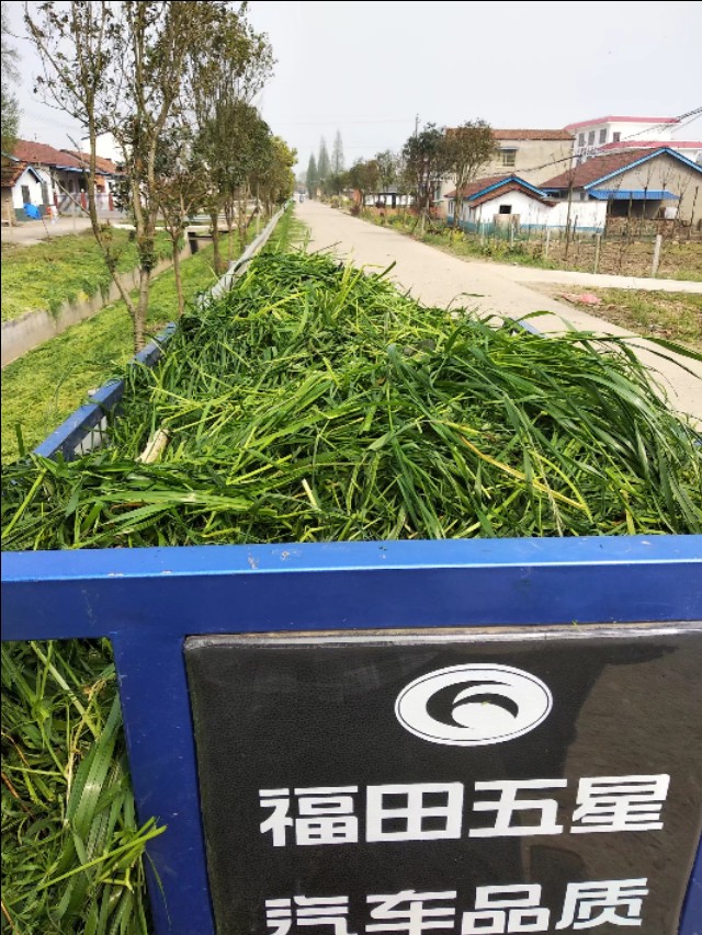 小龙虾如何养殖经济又实惠,小龙虾养殖成本大全