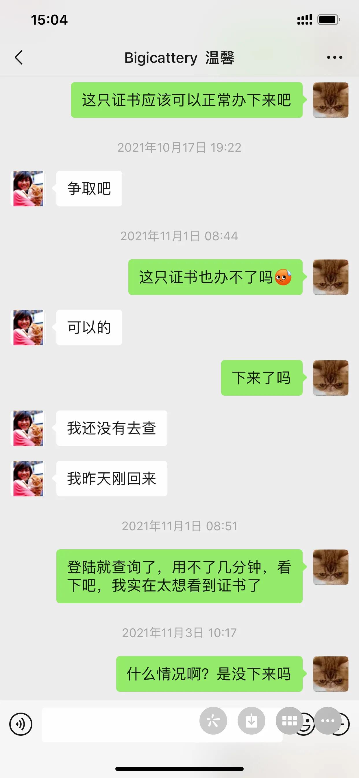 广州猫舍买英短猫,必读猫小屋家购猫流程