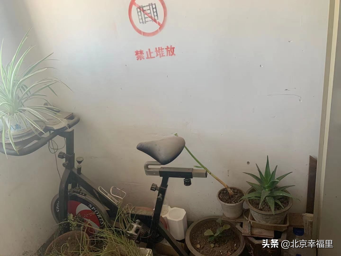 大悦城附近包含哪些小区 (大悦城最好小区图)