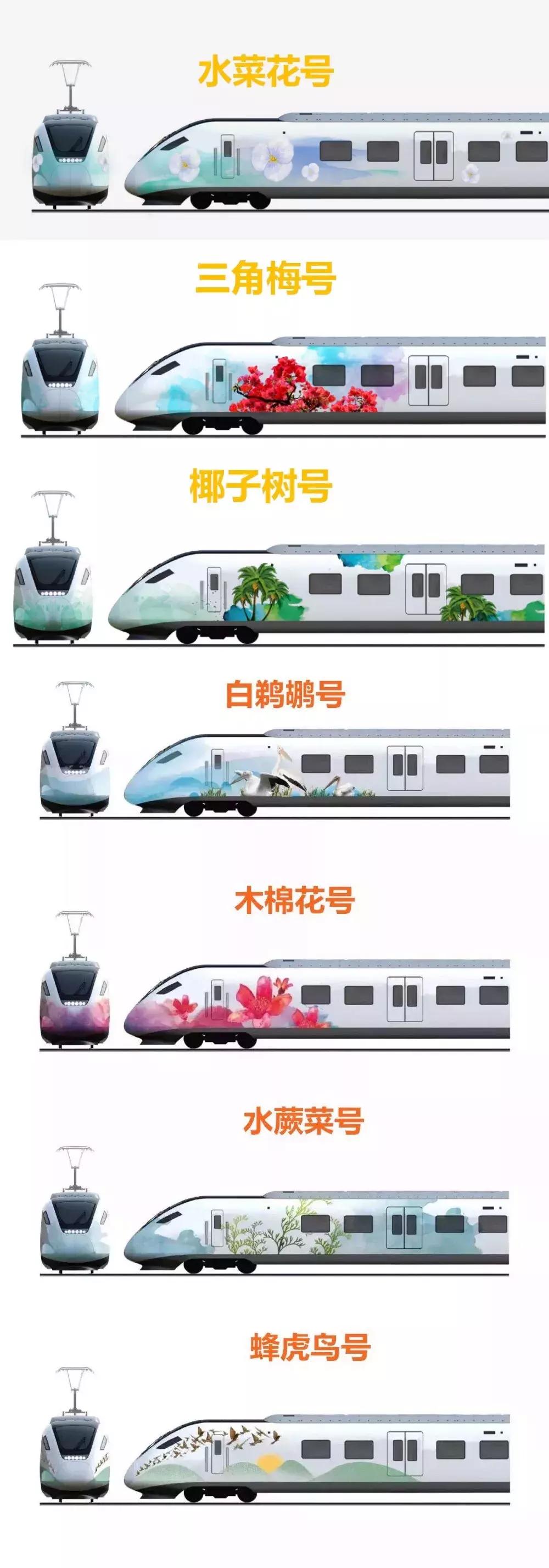 海口市郊列车票价格表,海口市郊列车免费坐