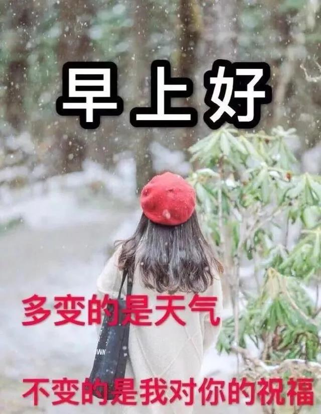 周一早上好祝福问候语最新版多图,周一早上好最新图片问候语