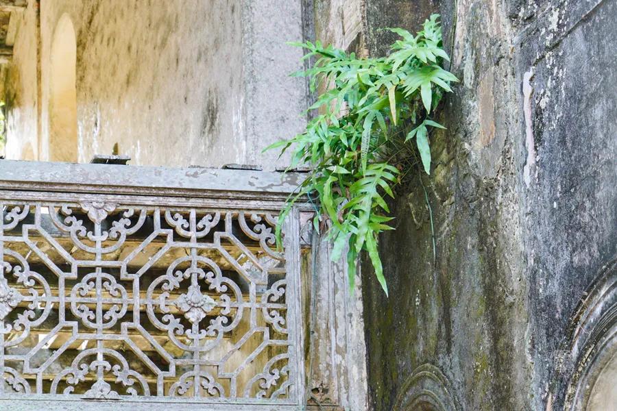 海南省文昌市符家宅,文昌市符家宅