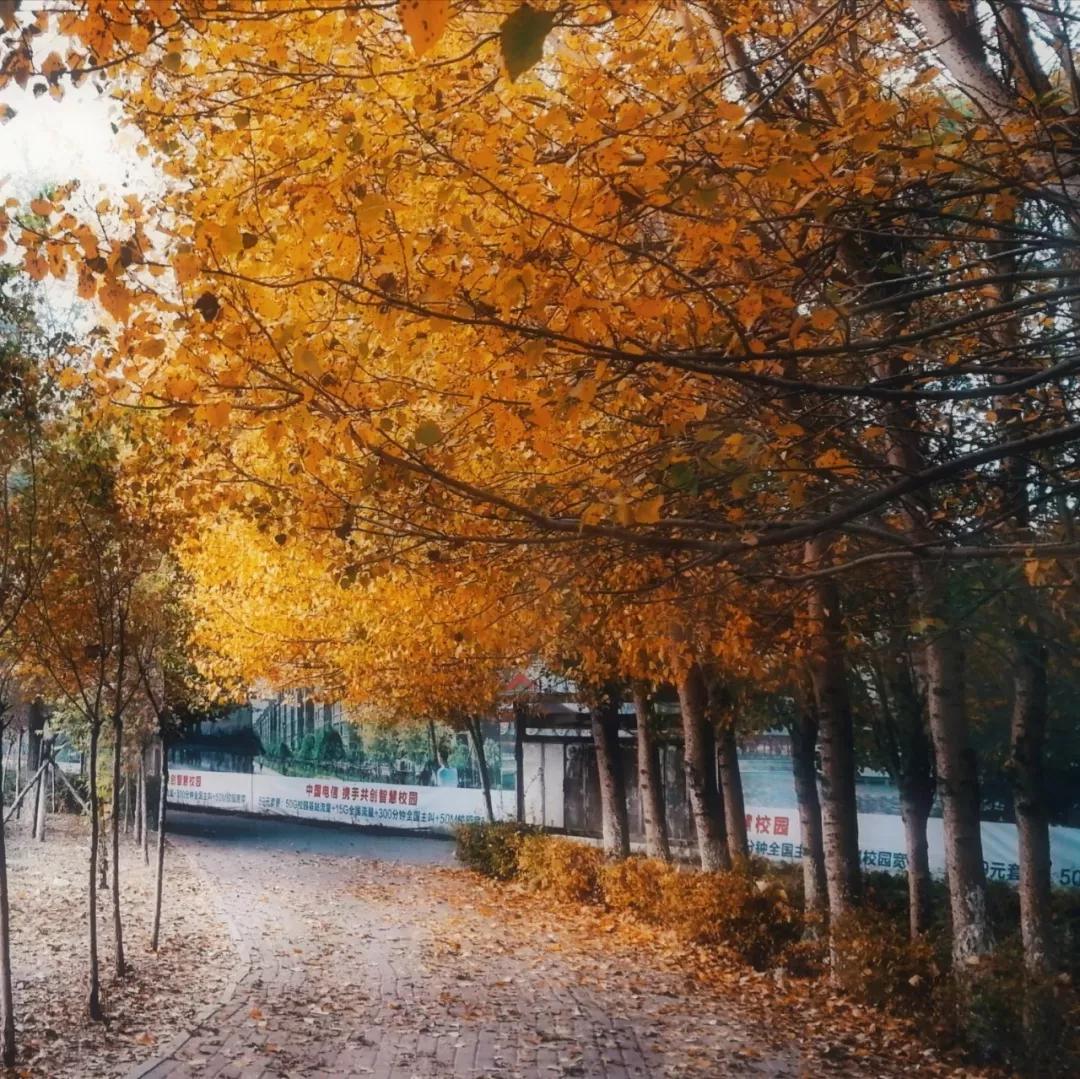 辽宁中医药大学杏林学院有独卫吗,辽宁中医药大学杏林学院属于3+2吗