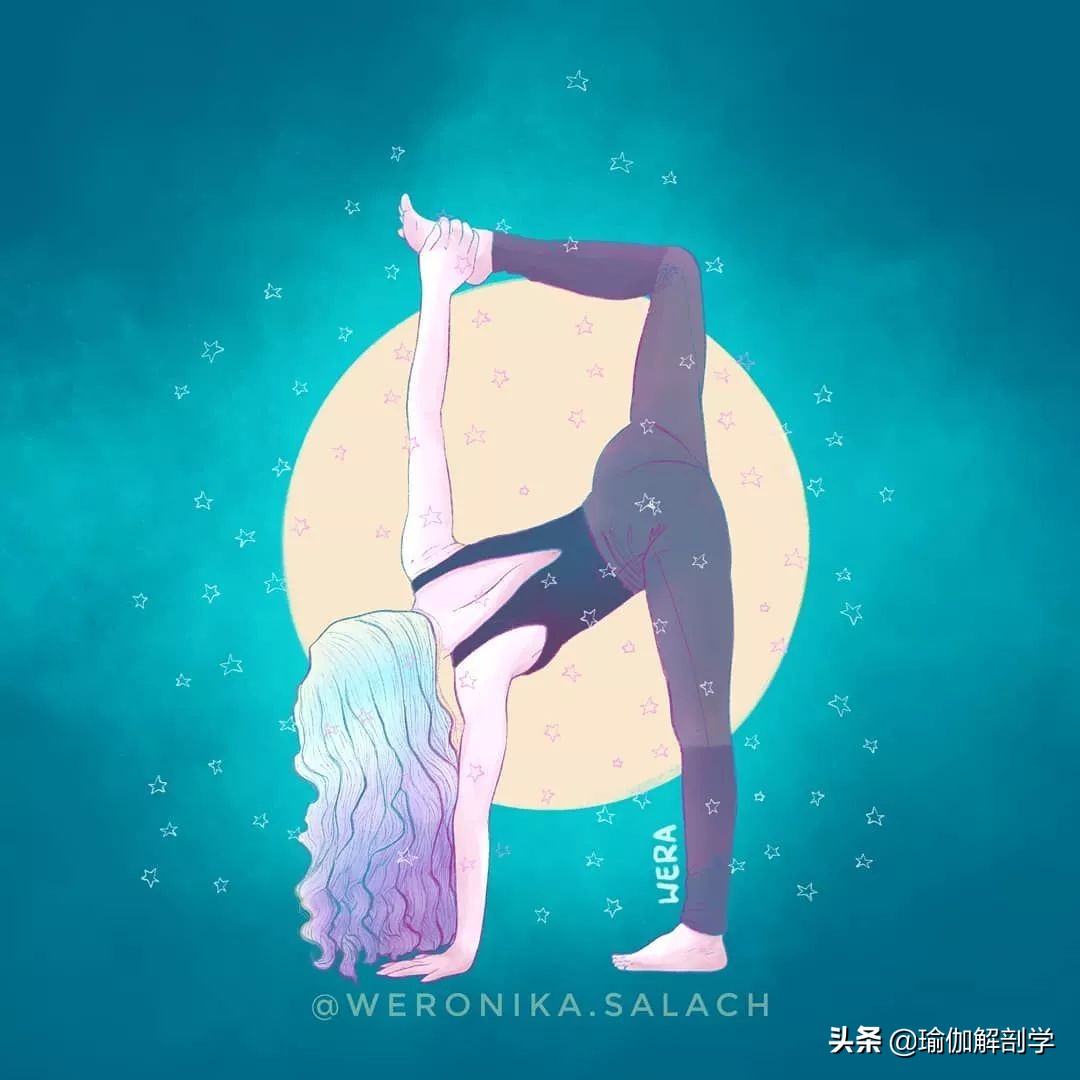 瑜伽练习的六个原则,瑜伽初学者必学的2个体式
