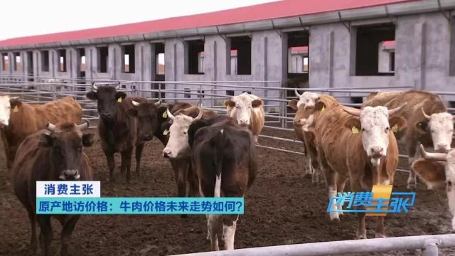 牛肉批发价最新价格,牛肉价格补贴最新消息