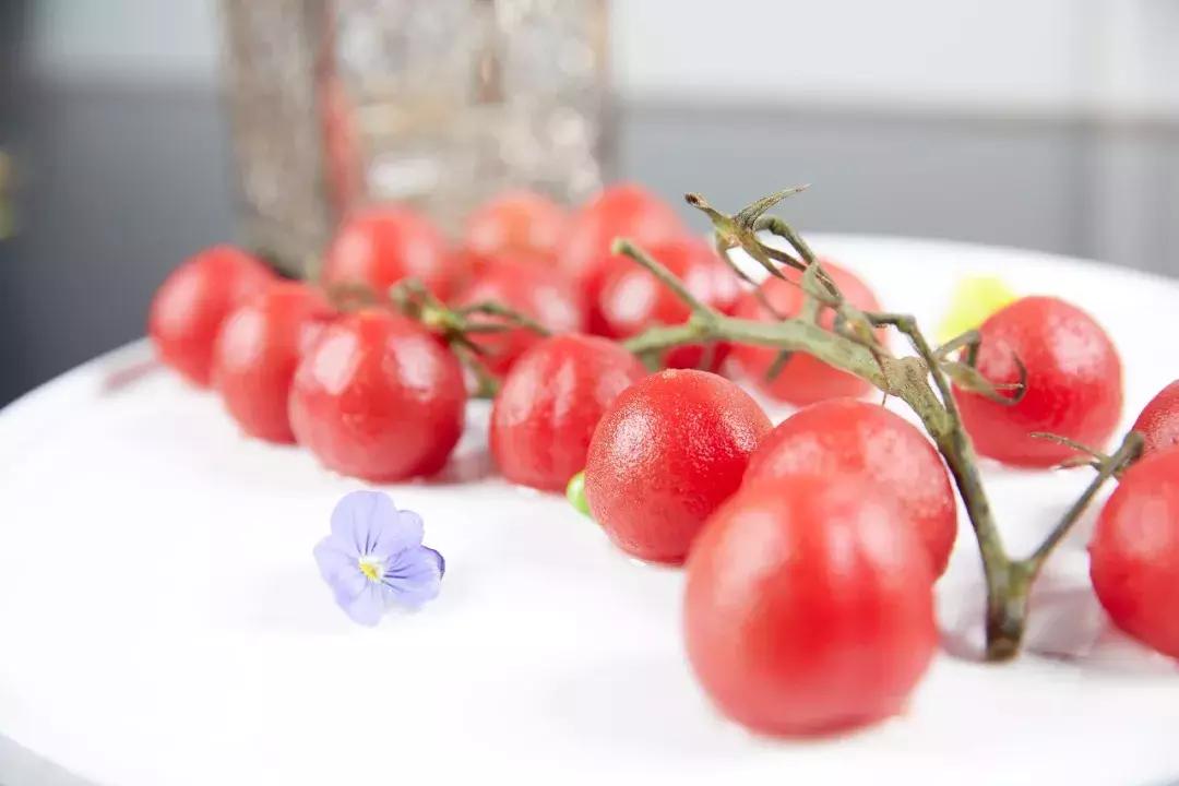 弘博携手“大师小宴”、“鲍之源”第二届夏季新品交流会