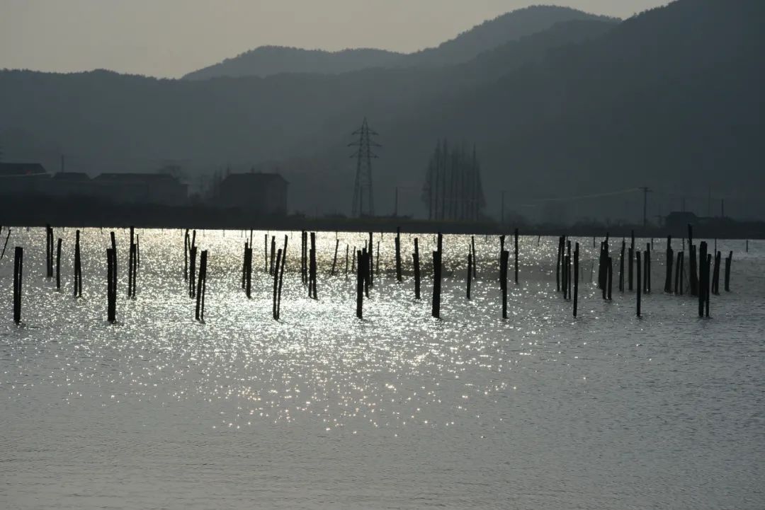 上虞春晖中学与上虞中学比较,浙江上虞春晖中学陈柯帆