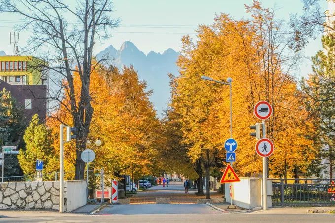 游记｜波兰—你所不知道的童话国度