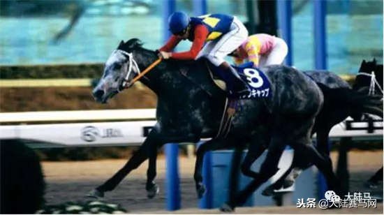 千万不要放弃一件事情,千万不要轻易的放弃