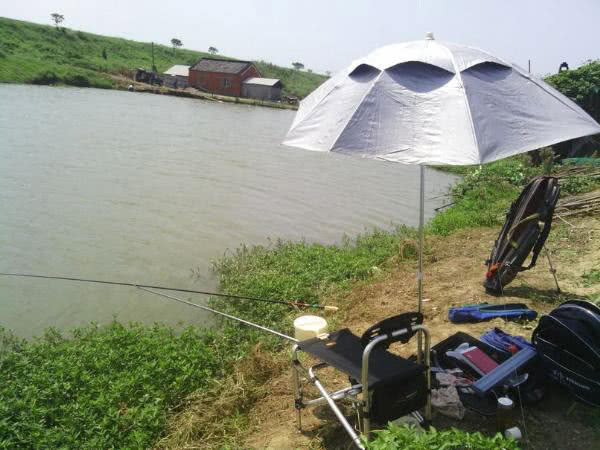 秋季钓鱼的正确方法,秋季钓鱼技巧选饵料