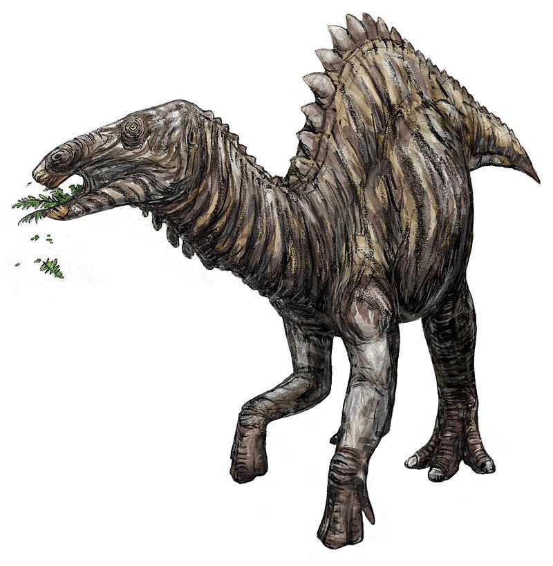 中国的最强恐龙是什么恐龙,中国已发掘的最大恐龙叫什么恐龙