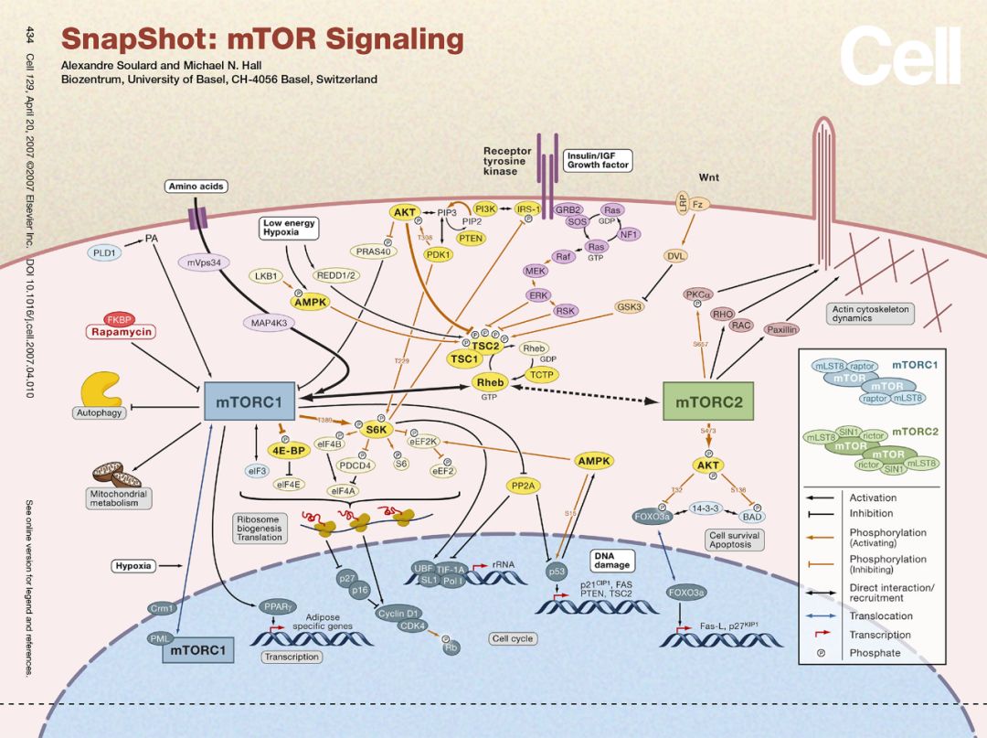 硬货的解析,硬货必买的10种