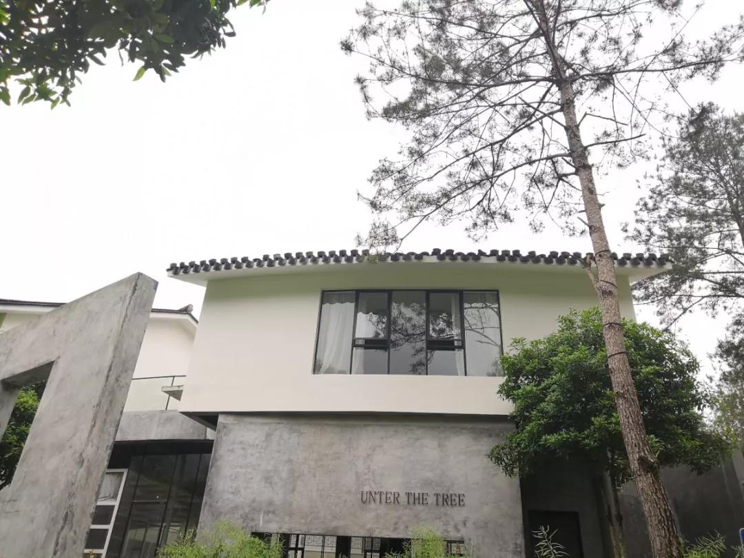 楠溪民宿真赞!推荐一批楠溪江畔精品民宿,你住过吗?(一)