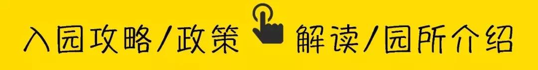 深圳顶级国际幼儿园排行榜,深圳国际幼儿园学费大约多少钱