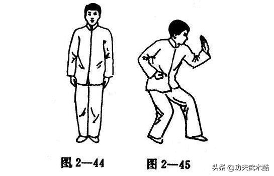 螳螂拳弹步功,螳螂拳插捶教学