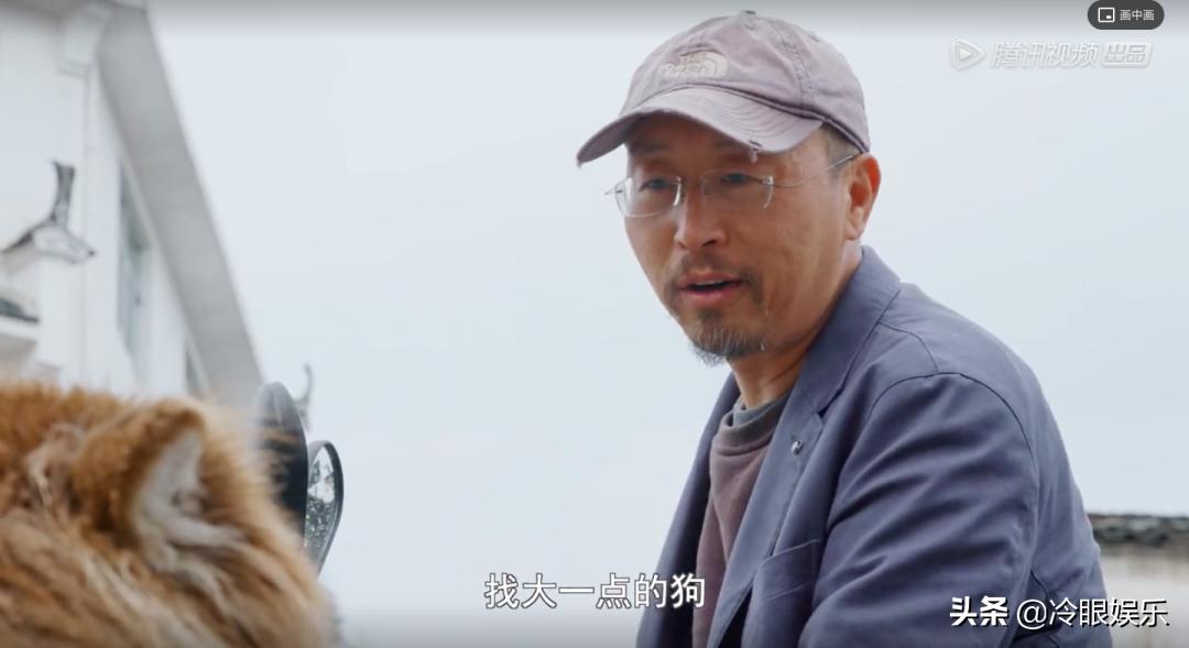 小动物永远都幸福,小动物长得最美也最可爱