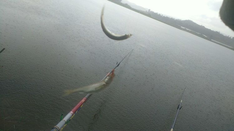 昆明周边露营野钓最佳地方,昆明周边风景优美的野钓地方