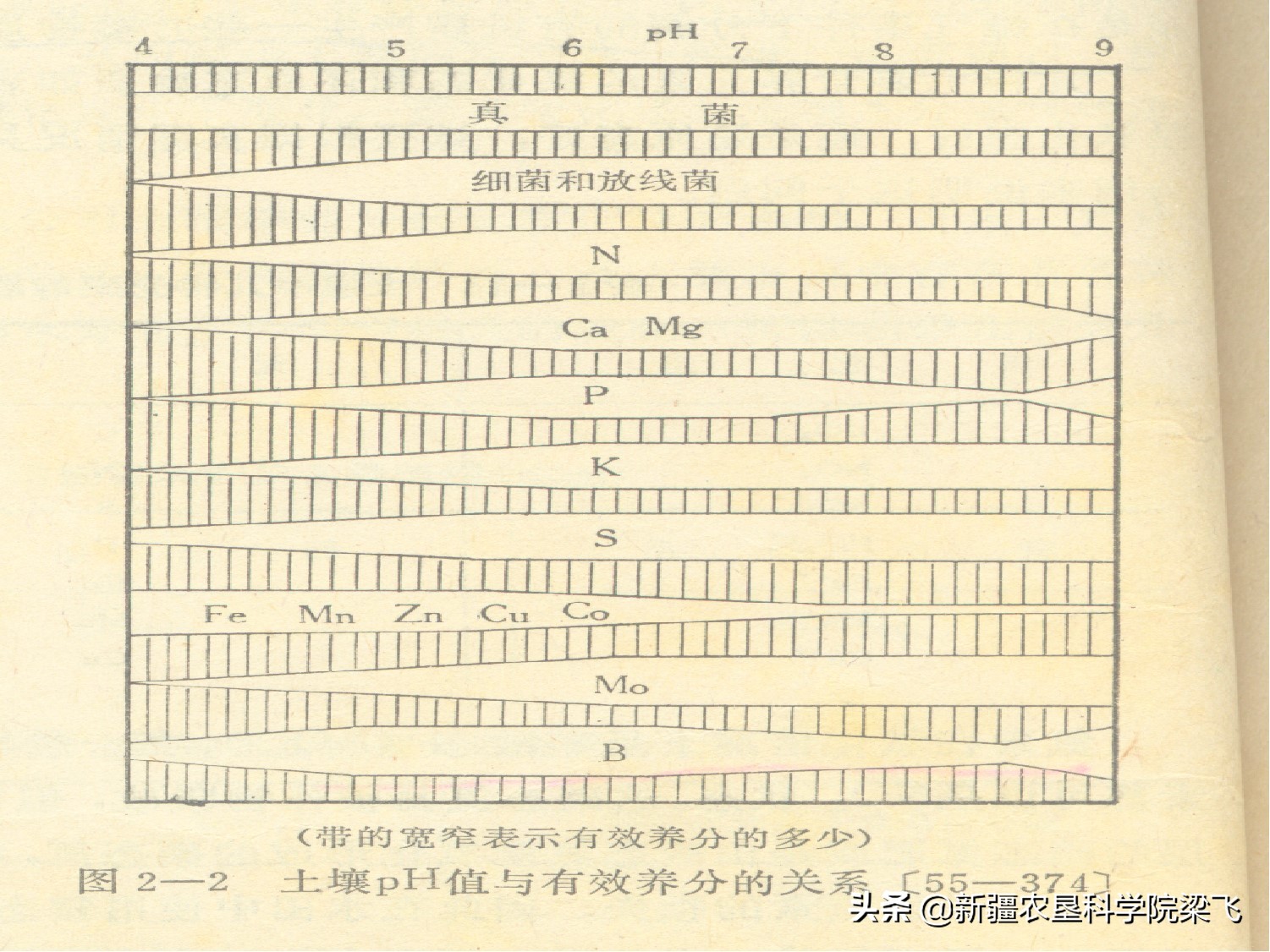 铜锌硼微量元素配比,硼锌钼铜铁锰正确使用方法