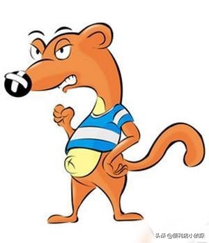 李雪琴最新cp,李雪琴最近的cp