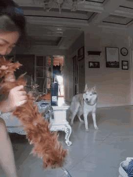 这才是社会步伐,这才是社会人原版