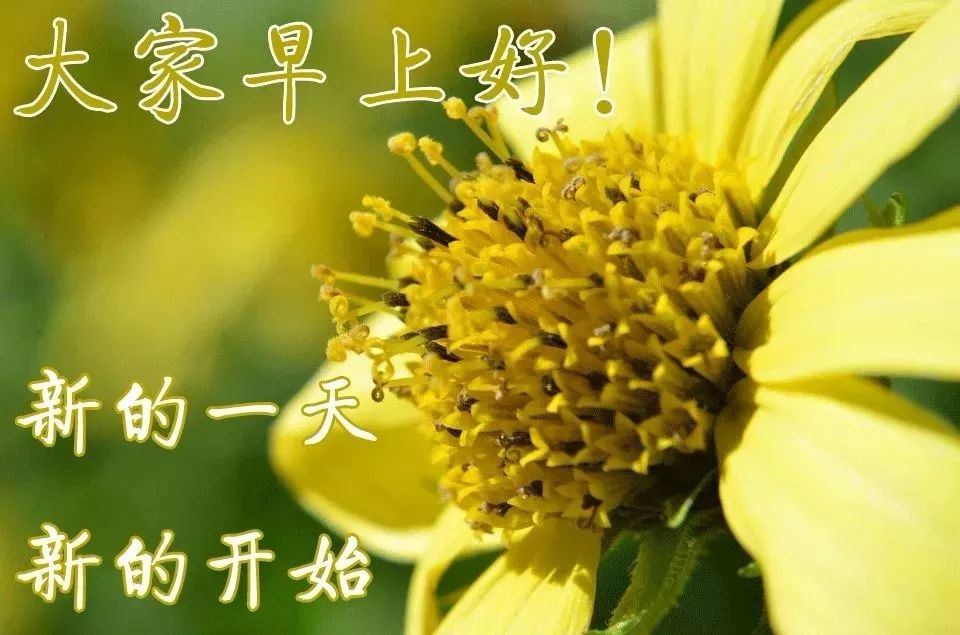 有志不在年高无志不在身高,有志不在年高的经典句子